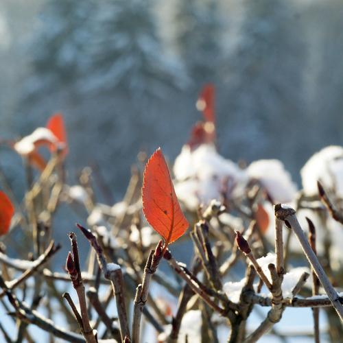 Photo #2823800