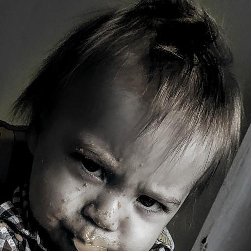 Photo #2824482