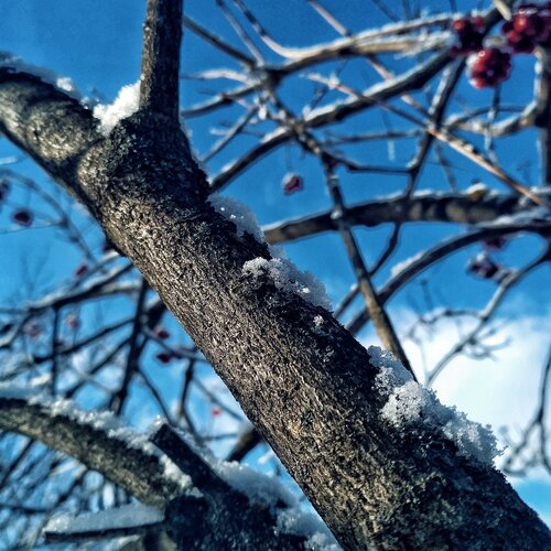 Photo #2824530