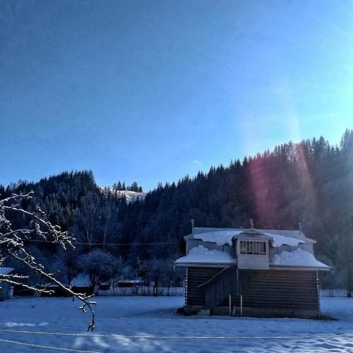 Photo #2824531