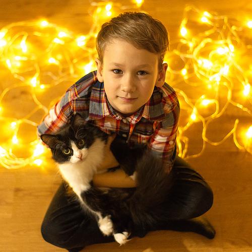 Мой золотой