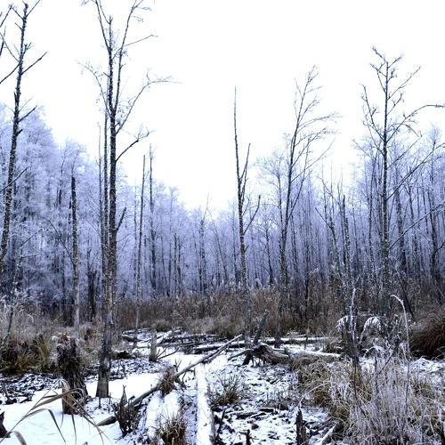 Photo #2828417