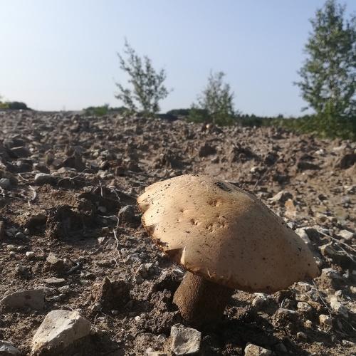 Уральский Марс