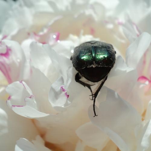 Photo #2829571