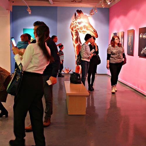 Типология фотовыставки I / Typology of the photo exhibition I