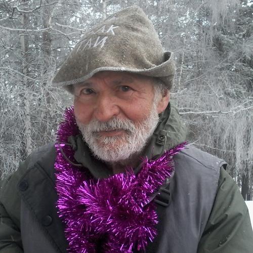 Вожак стаи