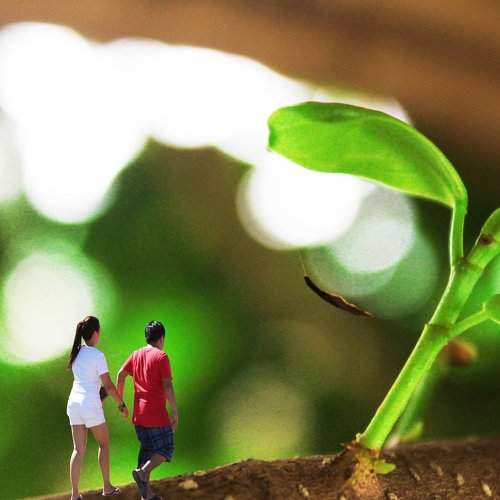 In A Tiny World