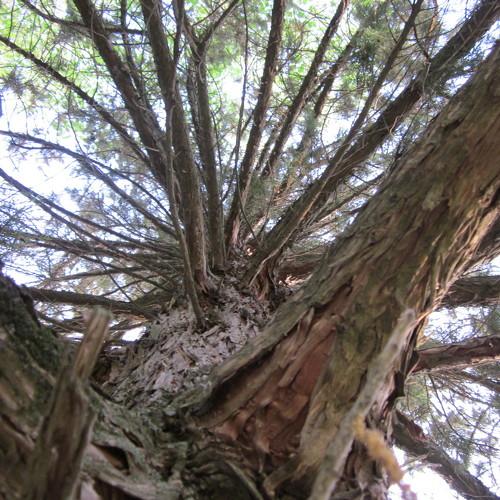 Photo #2830939
