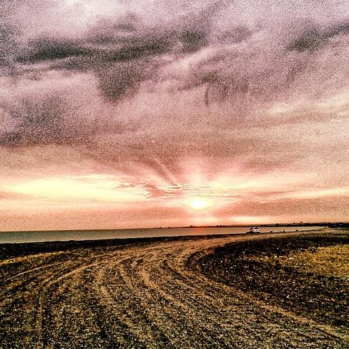 Photo #2831002