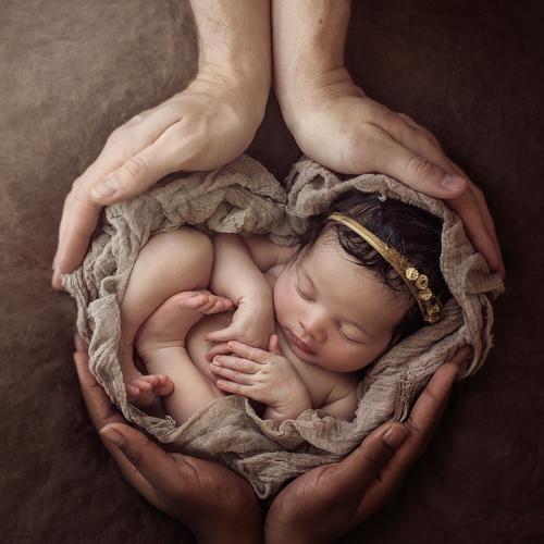Photo #2831357