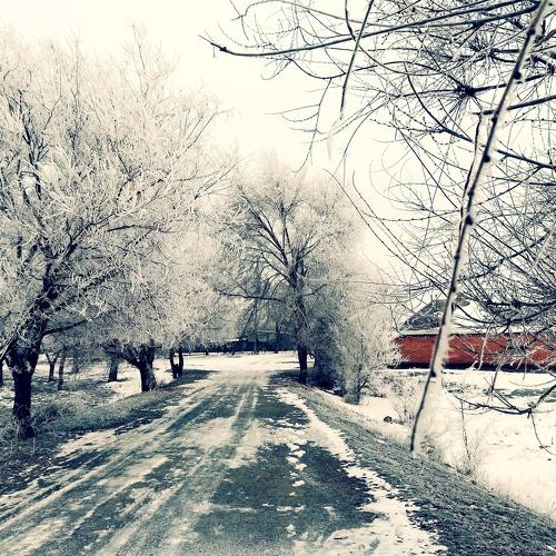 Прекрасная зима