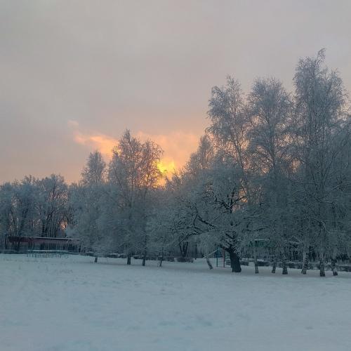 Зимний пейзаж