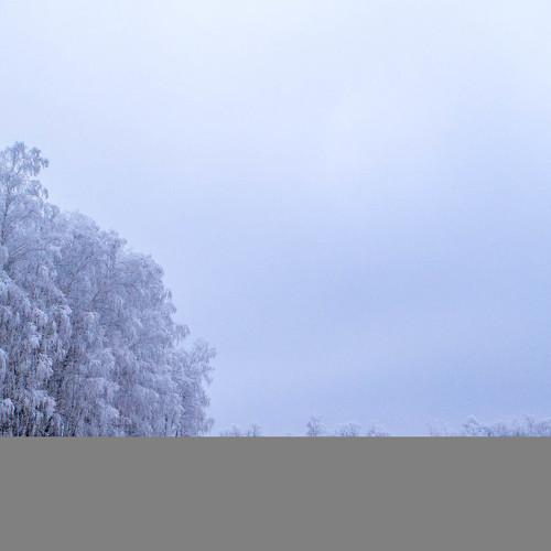 Photo #2834492