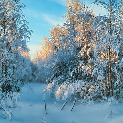 Photo #2834733