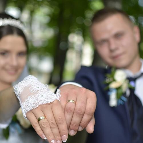 Photo #2834914