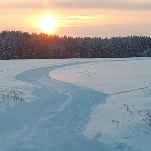 Зимнее утро