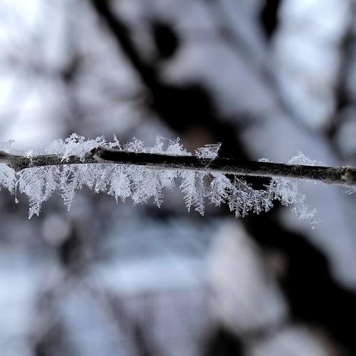 Photo #2836647