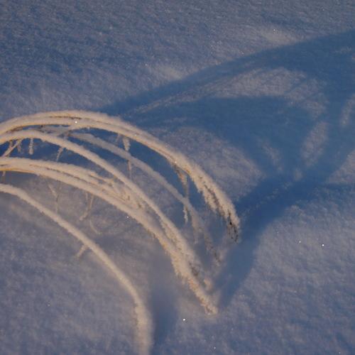 Photo #2836985
