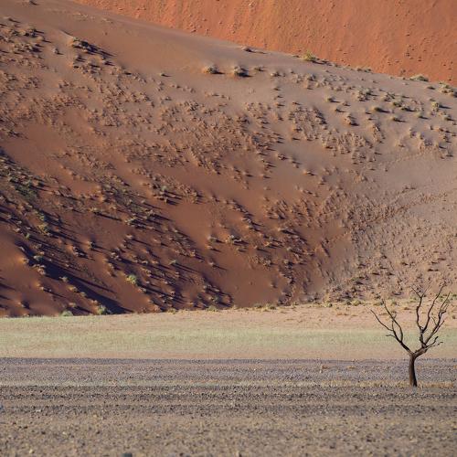Colorful Sand Dunes