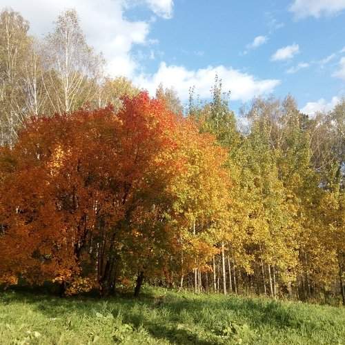 Autumn