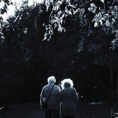 Photo #2839516