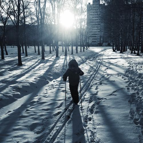 Photo #2839627