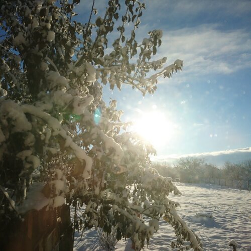 Ранок