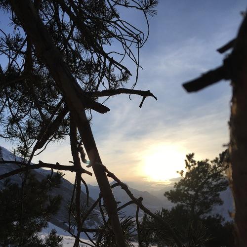 Photo #2841637