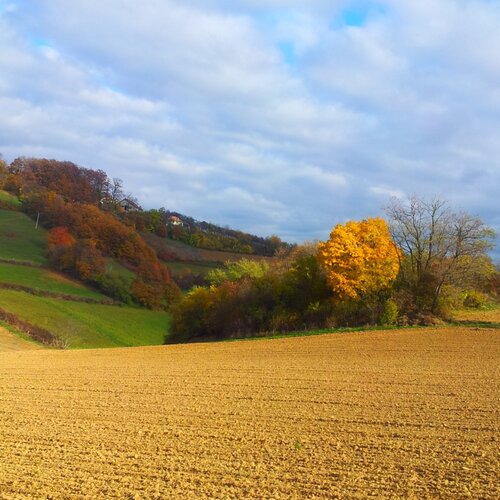 golden land of Serbia