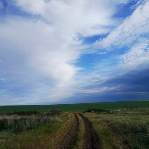 в дорогу