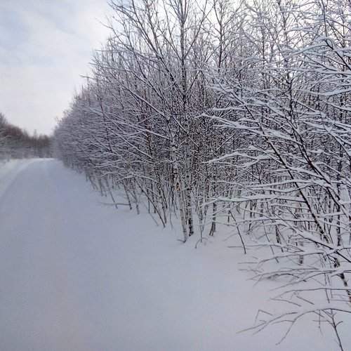Photo #2842129
