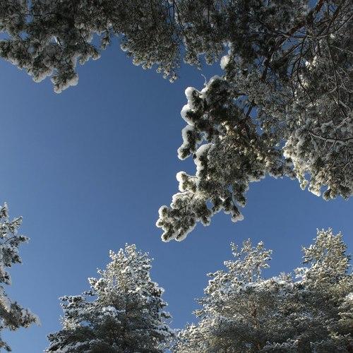 Посмотри на небо