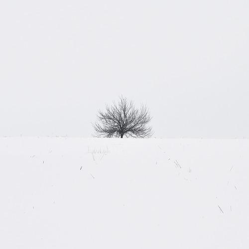 зима