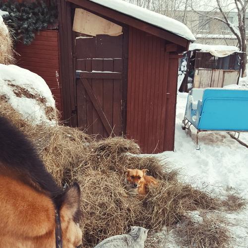 Photo #2845346