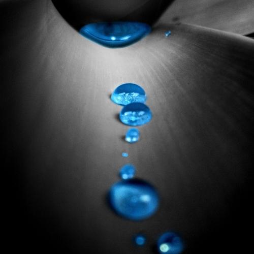 Rain Drop
