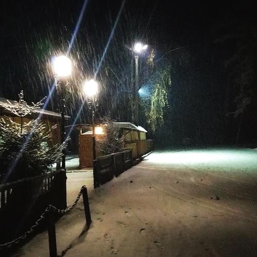 Let it snow❄️