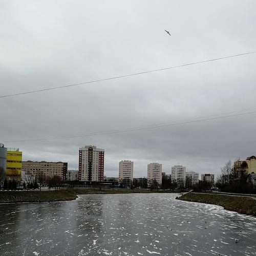 Photo #2847154