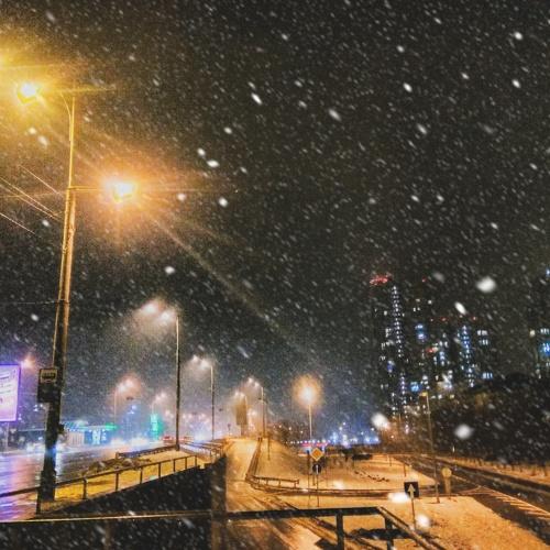 Photo #2847476