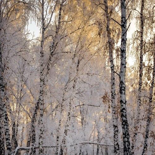Photo #2847631