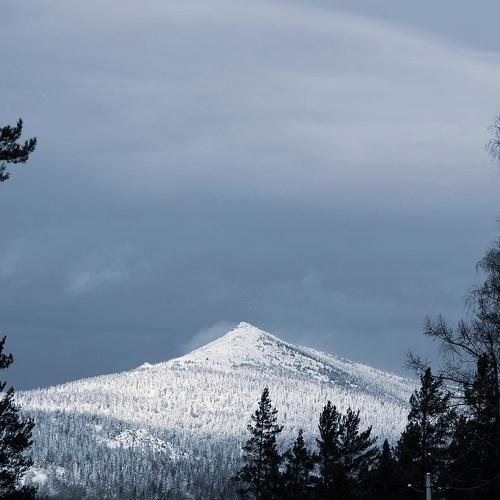 Photo #2847666