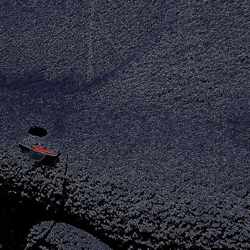 Photo #2849280