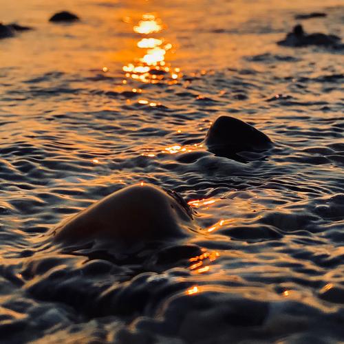 Photo #2850119