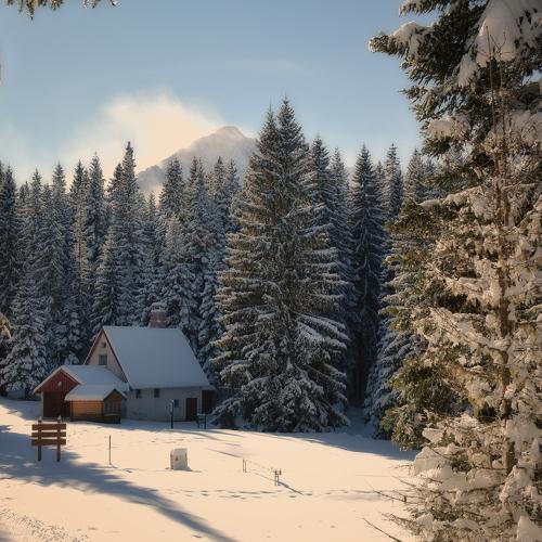 Snow house