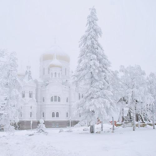 Photo #2851677