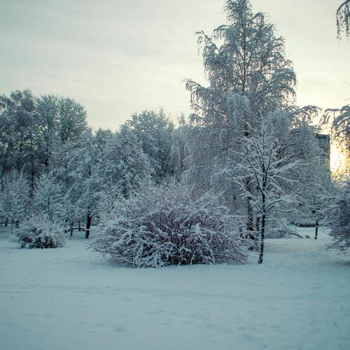 зимний пейзаж