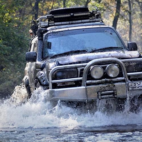 Photo #2852666