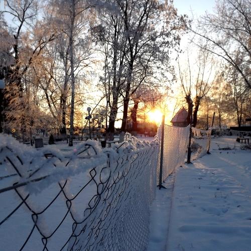 Замерзший парк
