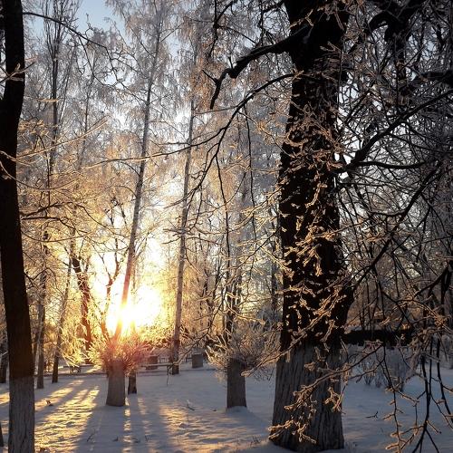 Необыкновенная зима