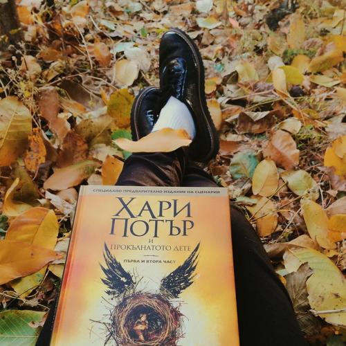 Autumn lover