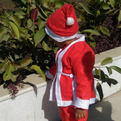 Christmas day in garden